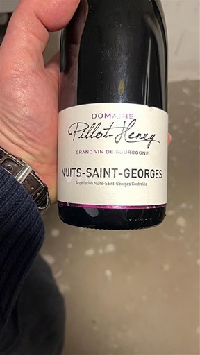 Bourgogne Nuits-saint-georges Domaine Pillot-Henry 2020