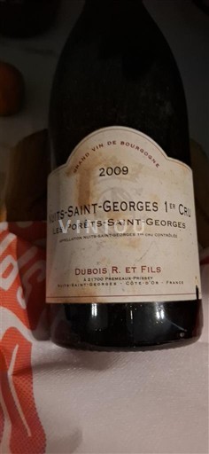 Bourgogne Premier Cru Dubois R. et Fils Les Porêts-Saint-Georges 2009