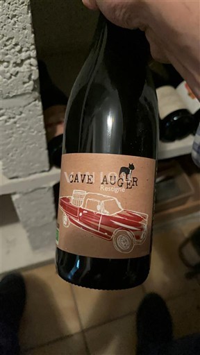 Dolina Loare Bourgueil Cave Auger Restigné 2020