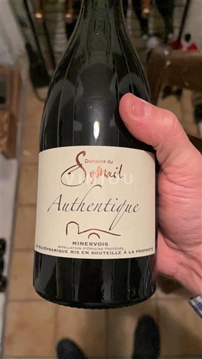 Vini Rouge sec Authentique Domaine Somail 2018 Francia Linguadoca Minervois AOC