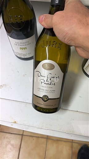Jura Côtes-du-jura Deux Grains de Papilles Tradition 2015