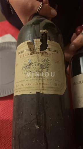 Sydvestfrankrig Bergerac Domaine Les Brandes 2001