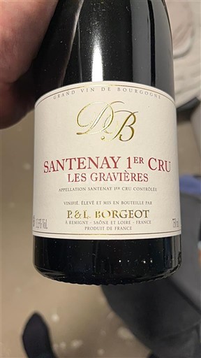 Bourgogne Santenay Premier Cru P&L Borgeot Les Gravières 2021
