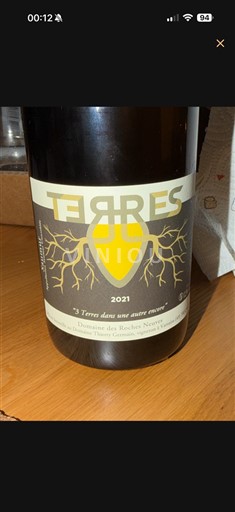 Loire Valley Saumur Domaine S Roches Neuves Terres 2021