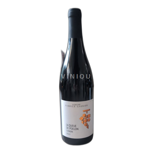 Loirevallei Chinon Domaine Fabrice Gasnier La Queue de Poêlon 2022