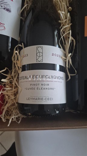 Burgund Burgunderhänge Leymarie-Ceci Eléanore 2023