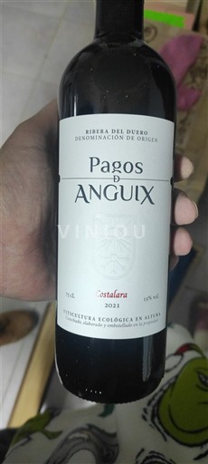 Castilië en León Ribera del Duero Pagos de Anguix Costalara 2021