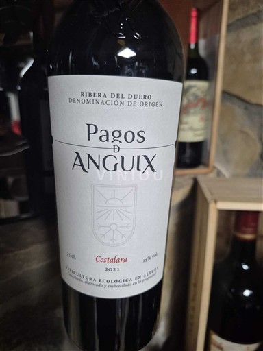 Kastilia ja León Ribera del Duero Pagos de Anguix Costalara 2021