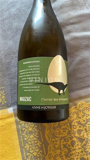 Linguadoca Limoux Anne de Joyeuse Le terroir des dinosaures Senza annata