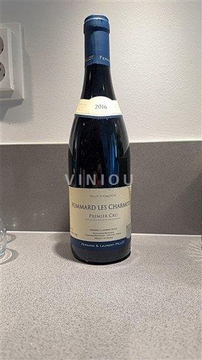 Borgogna Pommard Premier Cru Fernand & Laurent Pillot Pommard Les Charmots 2016
