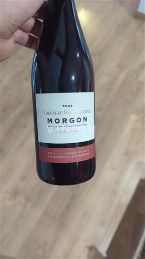 Beaujolais Morgon Domaine Granit Bleuté Vieilles Vignes 2024
