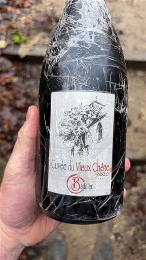 Dolina Loare Bourgueil Badiller du Vieux Chêne 2020