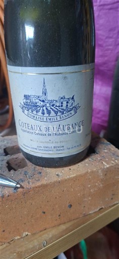 Loire-dalen Coteaux-de-l'aubance Château Émile Benon 1996