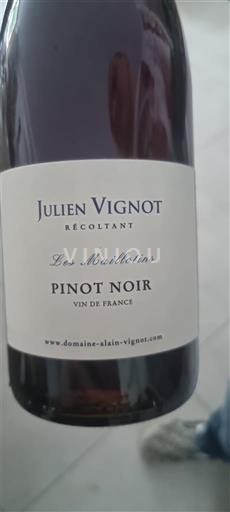 Champagne Julien Vignot Les Maillotins Non Millésimé