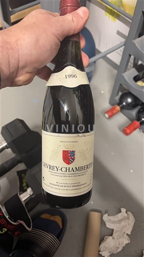 Burgundsko Gevrey-Chambertin Domaine Pont-Tissier 1996