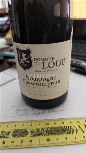 Borgogna Borgogna-passetoutgrain Domaine Loup 2017