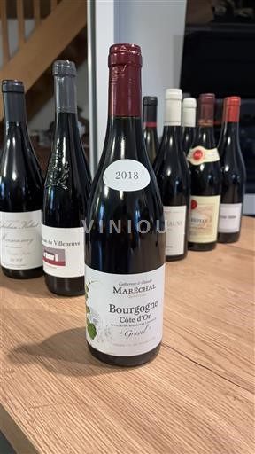 Borgogna Borgogna Côte d'Or Domaine Mareschal Gravi 2018