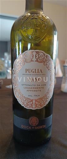 Puglia Not Specified Duca di Sasseta 2024