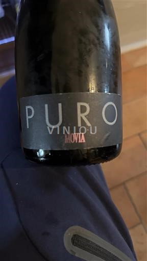 Primorje Brda Movia Puro 2004