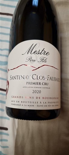 Borgogna Santenay Premier Cru Mestre Père & Fils Clos-Faubard Premier Cru 2020