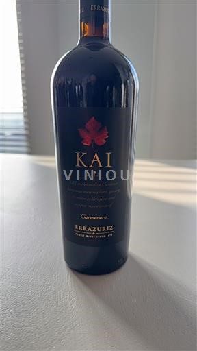 Долина Рапель Долина Колчагуа Errazuriz Kai 2012