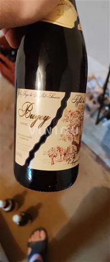 Savoyen und Bugey Bugey Vignoble de Montagnieu-Lonnière 2024