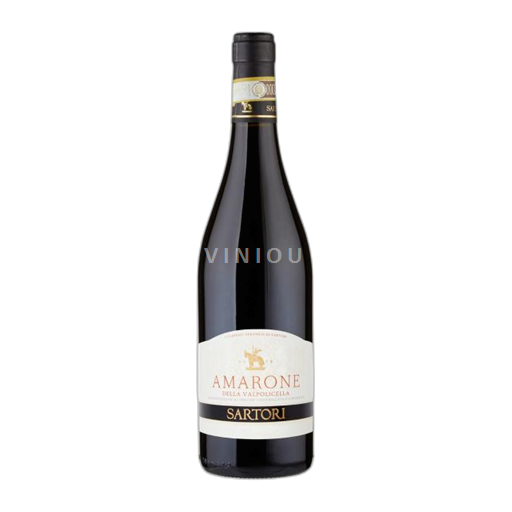 Vénétie Amarone della Valpolicella Sartori Amarone 2017