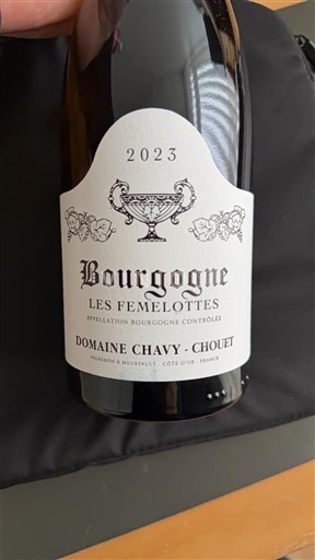 Burgundy Domaine Chavy-Chouet Les Femelottes 2023