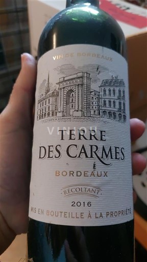 Bordeaux Terre des Carmes 2016