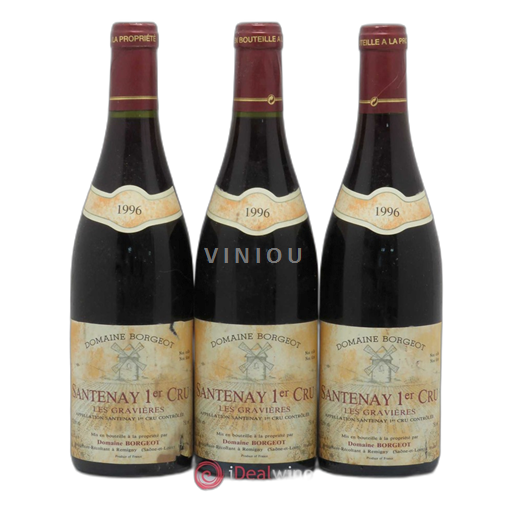 Borgogna Santenay Premier Cru Domaine Borgeot Les Gravières 1996