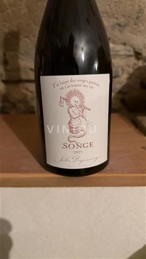 Beaujolais Domaine Jules Desjourneys Songe 2021