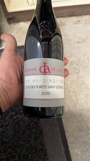 Borgonha Não especificado Premier Cru Domaine L'Arlot Clos des Forêts Saint Georges 2020