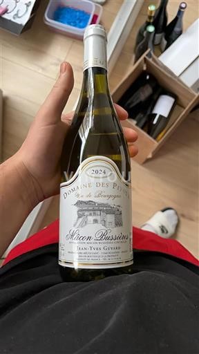 Borgogna Mâcon e Mâcon-Villages Domaine S Poncétys 2024