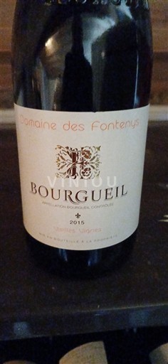 Dolina Loare Bourgueil Domaine S Fontenys Vieilles Vignes 2015