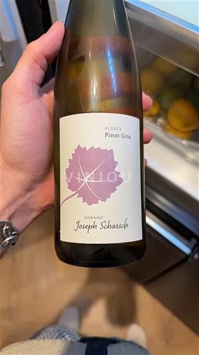 Alsacia Domaine Joseph Scharsch Sin añada
