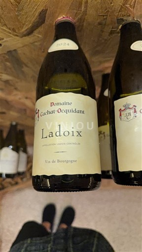 Bourgogne Ladoix Domaine Cachat-Ocquidant 2024