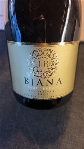Primorje Brda Bjana Brut Terroir 2018