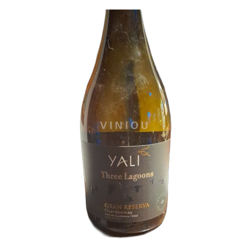 Vale do Casablanca Não especificado Tree lagoons Chardonay 2022