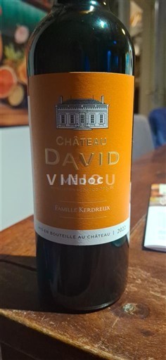 Bordeaux Médoc Château David 2022