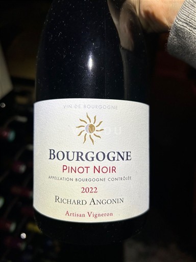 Bourgogne Richard Angonin Pinot Noir 2022