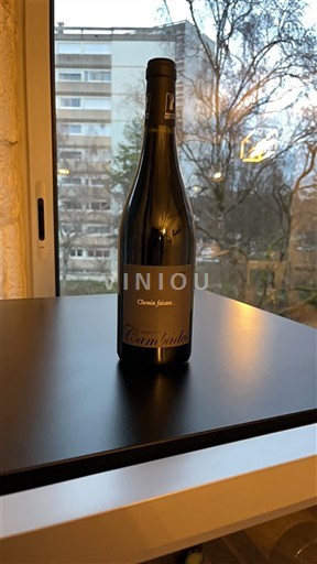 Sud-Ouest Côtes du Lot Cambades Chemin Faisant 2022