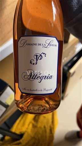 Beaujolais Domaine La Laveuse Allégria 2024