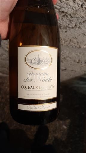 Vallée de la Loire Coteaux-du-layon Domaine S Noëls Vieilles Vignes Non Millésimé