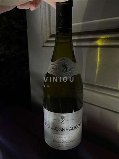 Bourgogne Bourgogne-aligoté Maison Chandesais Chandrelle 2016