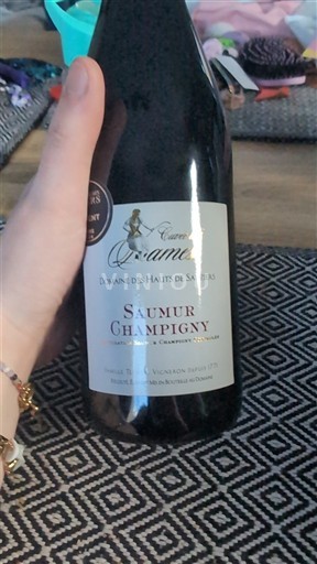 Vallée de la Loire Saumur-champigny Domaine S Hauts de Sauriers d'Annaëlle 2023