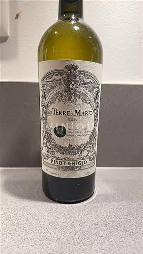Aosta Valley Pinot Grigio Terre di Mario 2021