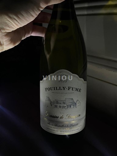 Vallée de la Loire Pouilly-fumé Domaine Breugnon 2022
