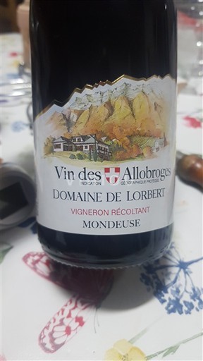 Альпи та Ронські землі Аллоброгське вино Domaine Lorbert 2024