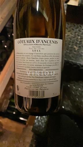 Vin Blanc demi-sec Château Bellevignelesx 2020 France Vallée de la Loire Coteaux-d'ancenis AOC
