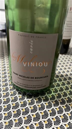 Valle della Loira Saint-Nicolas-De-Bourgueil Domaine Ratron les Malgagnes 1982